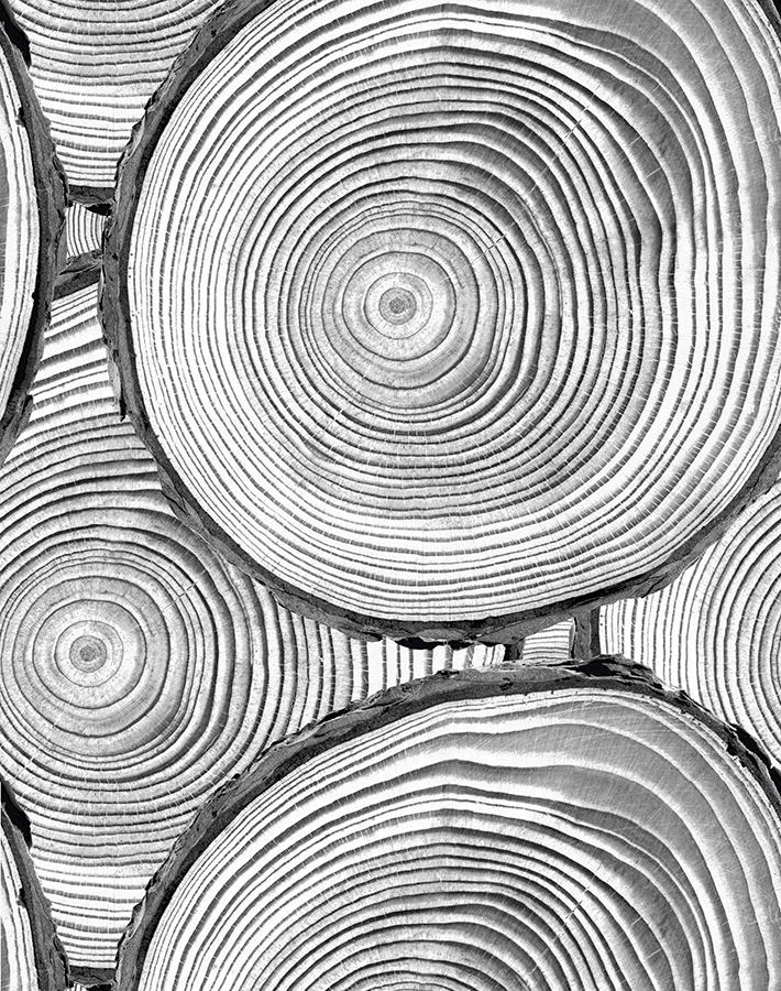 faux-bois-onyx