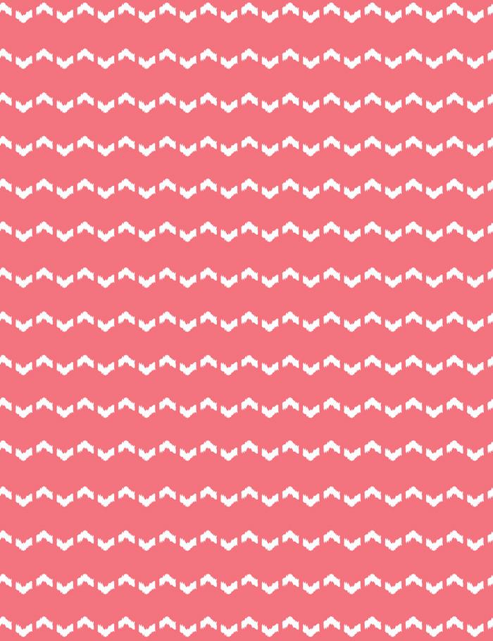 fes zag flamingo