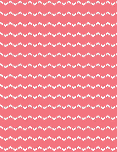 fes zag flamingo