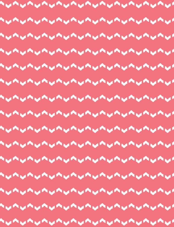 fes zag flamingo