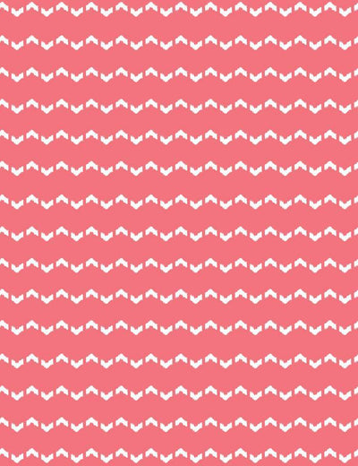 fes zag flamingo