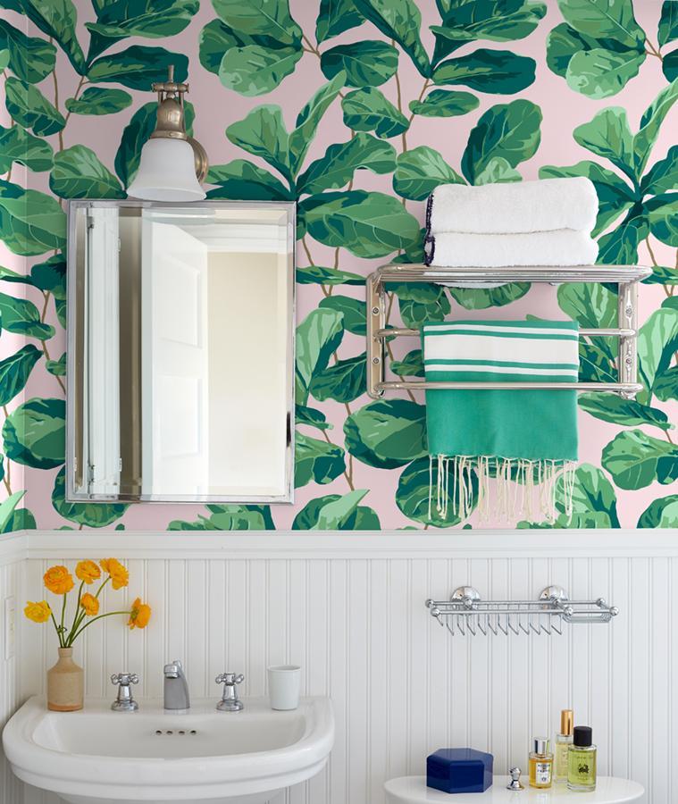 fiddle fig pink