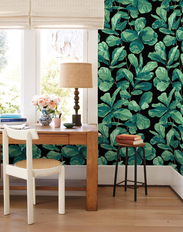 fiddle-fig-onyx