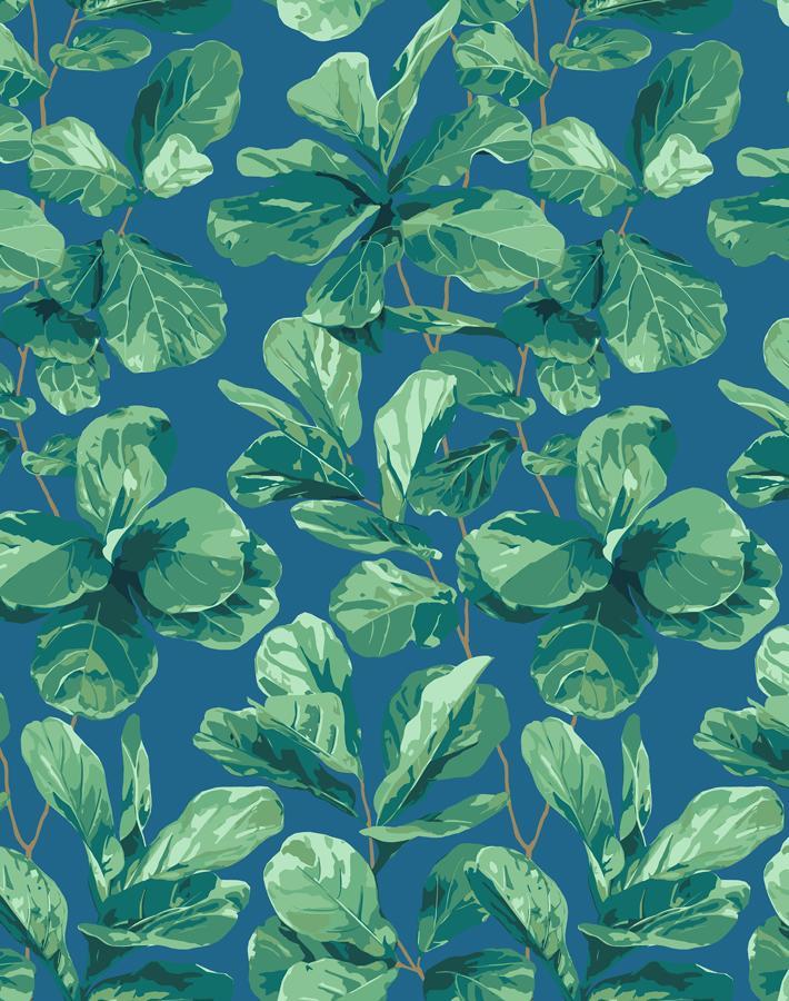 fiddle-fig-cadet-blue