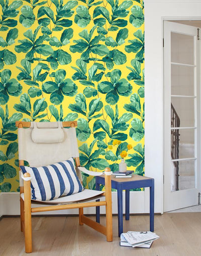 'Fiddle Fig' Wallpaper by Nathan Turner - Daffodil