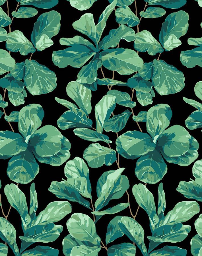 'Fiddle Fig' Wallpaper by Nathan Turner - Onyx