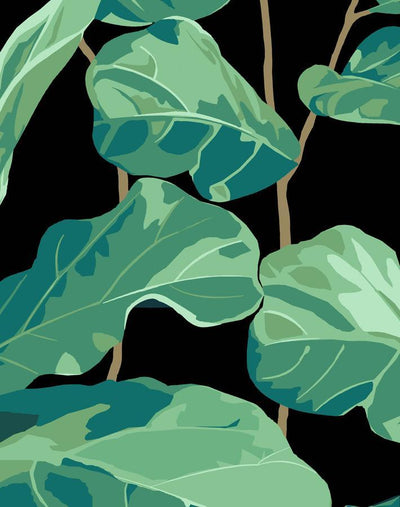 'Fiddle Fig' Wallpaper by Nathan Turner - Onyx