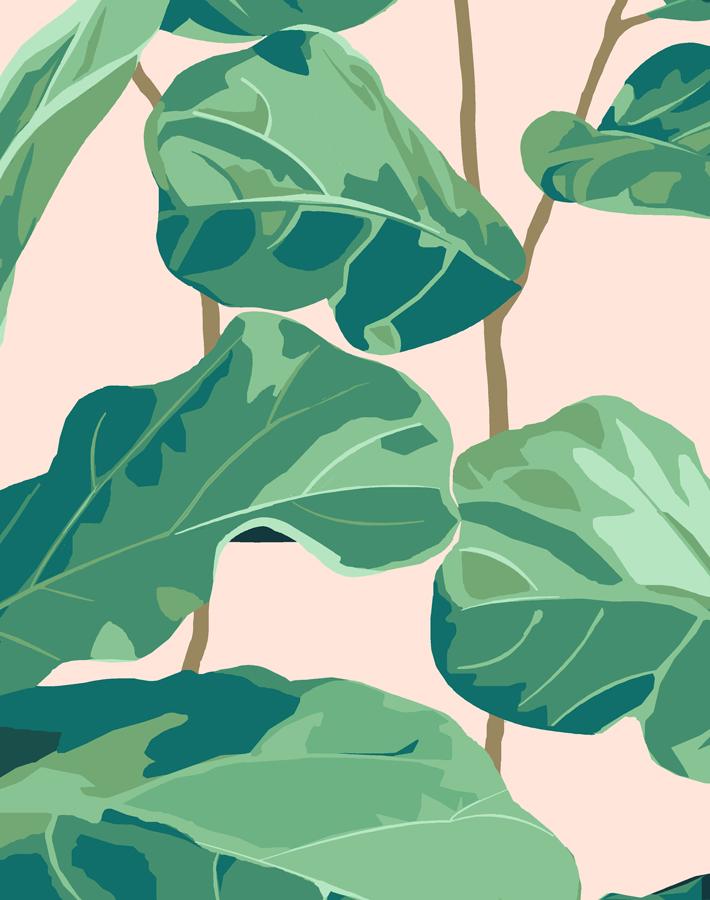 fiddle-fig-peach