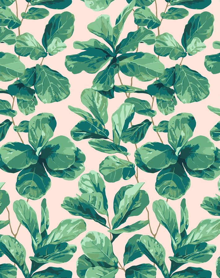 'Fiddle Fig' Wallpaper by Nathan Turner - Peach