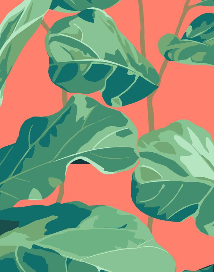 fiddle-fig-watermelon