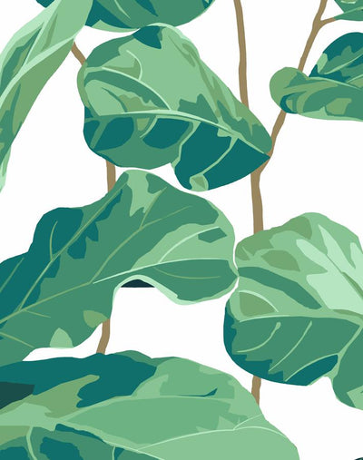'Fiddle Fig' Wallpaper by Nathan Turner - White