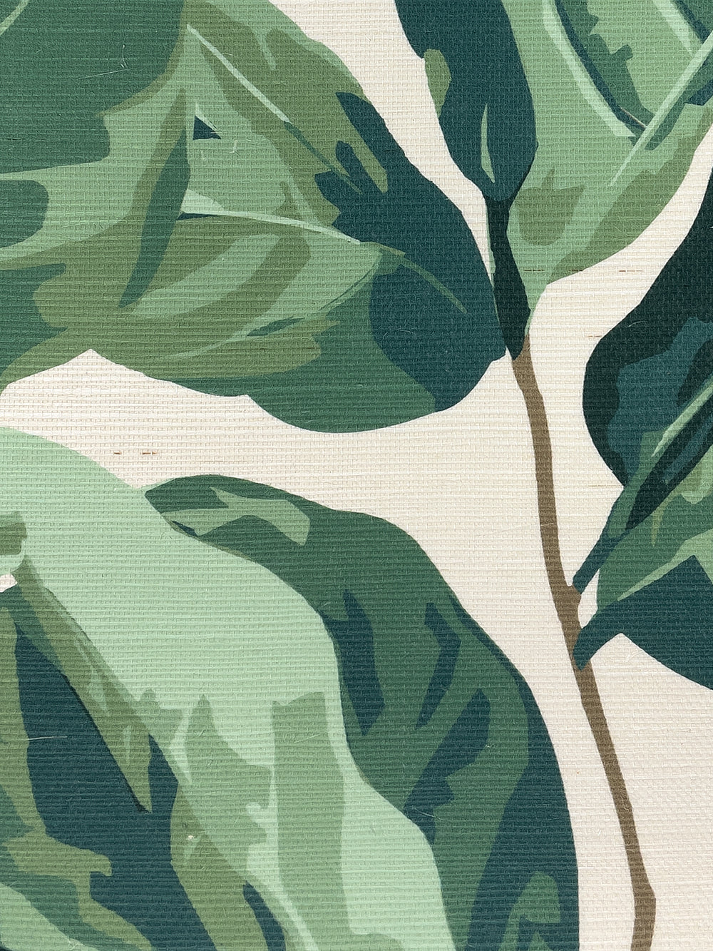 fiddle fig grasscloth wallpaper by nathan turner natural