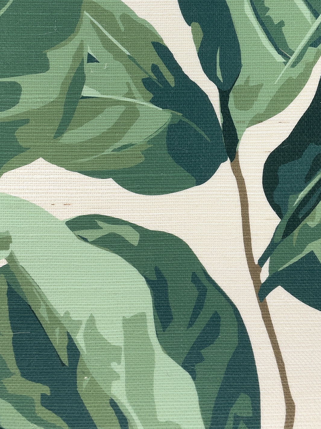 'Fiddle Fig' Grasscloth' Wallpaper by Nathan Turner - Natural