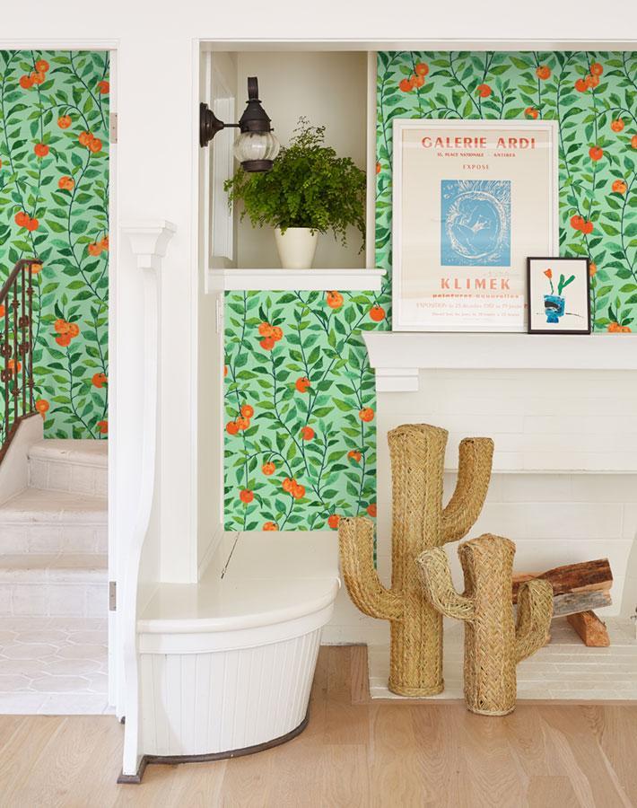 orange-crush-green