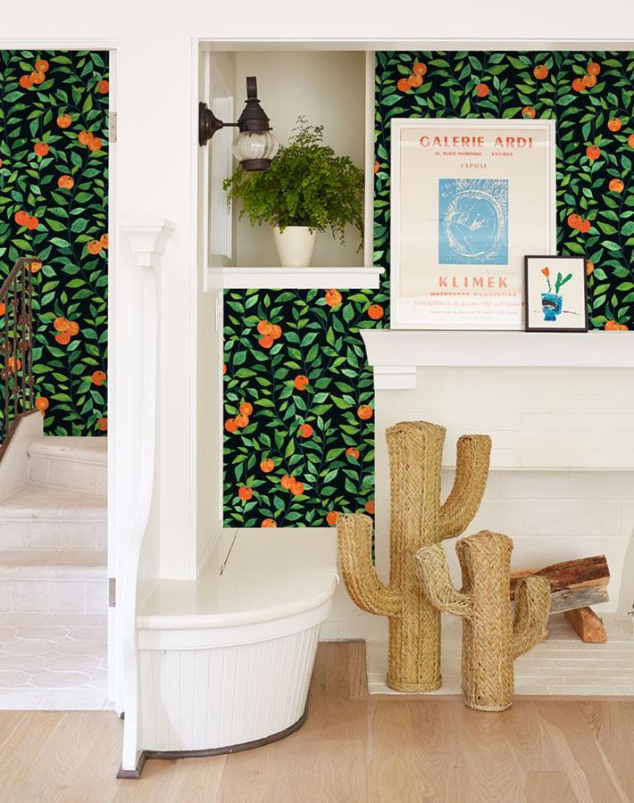orange-crush-onyx