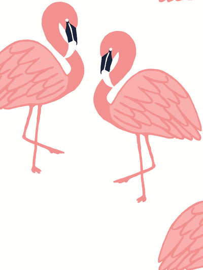 flamingos wallpaper by tea collection pink