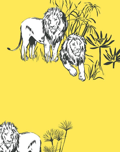 foliage lions daffodil