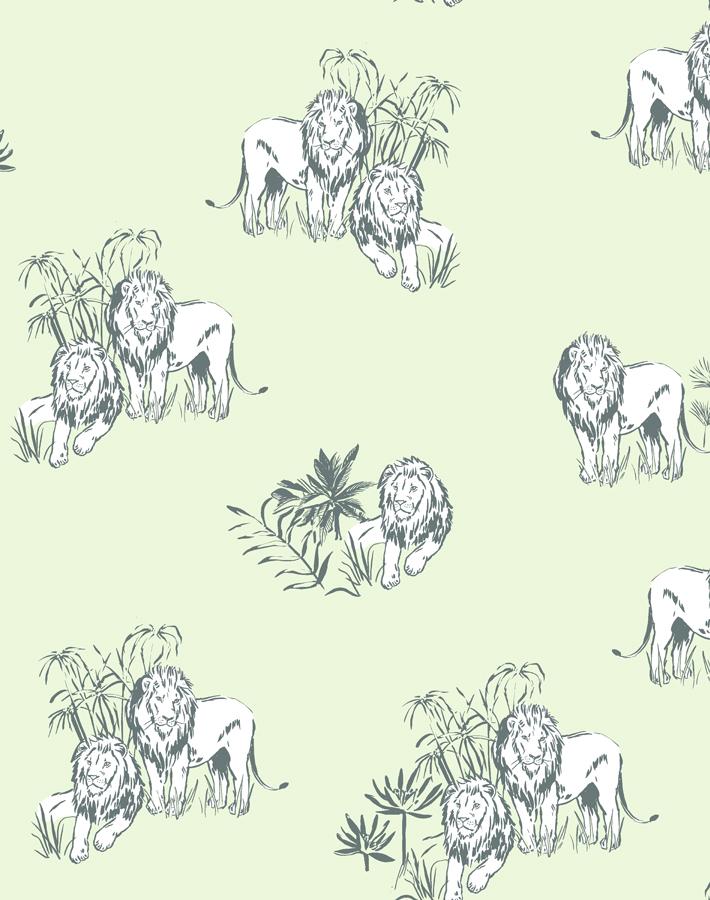 foliage lions pistachio