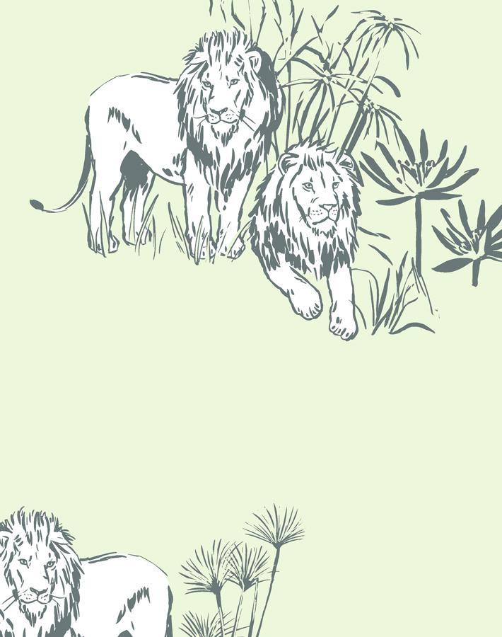 foliage lions pistachio