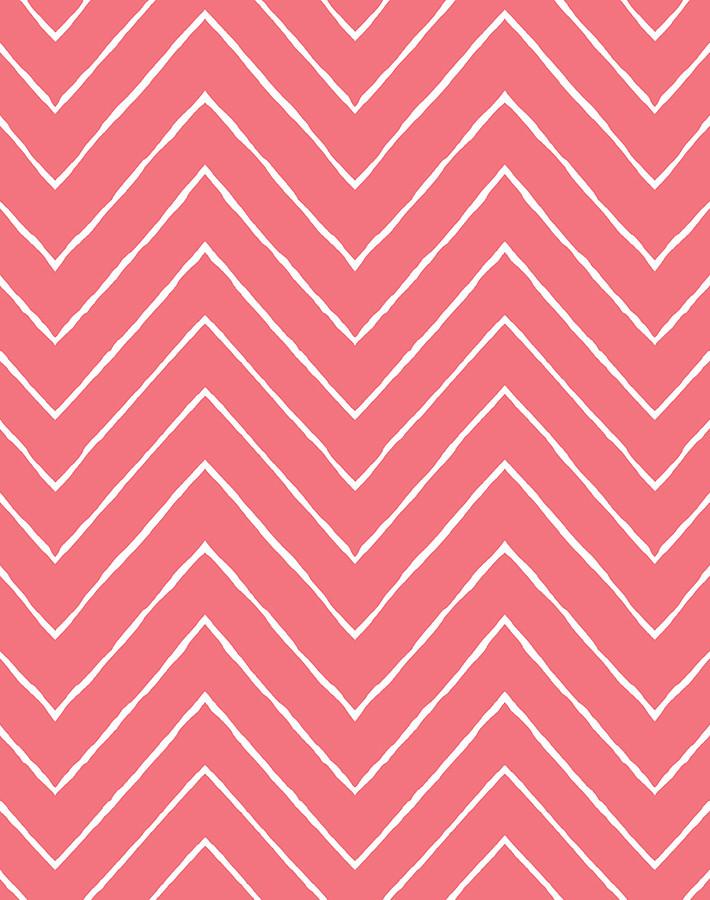 frances chevron flamingo