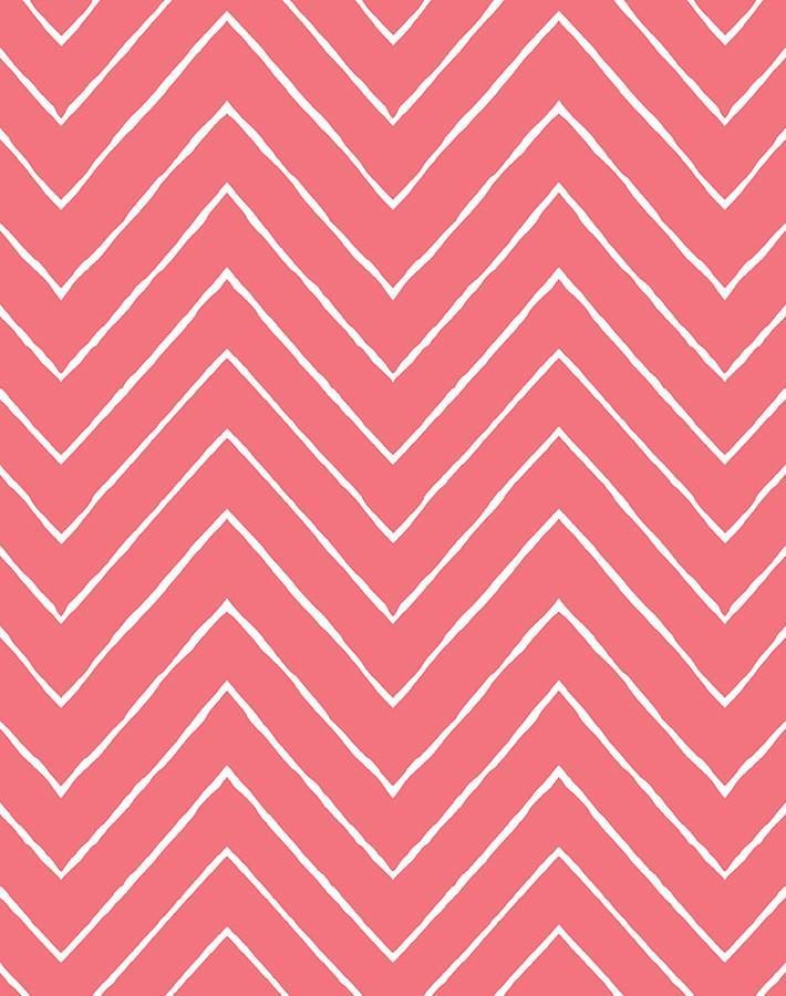 frances chevron flamingo