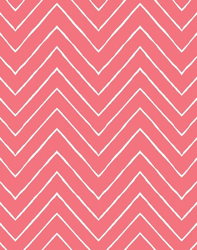 frances chevron flamingo