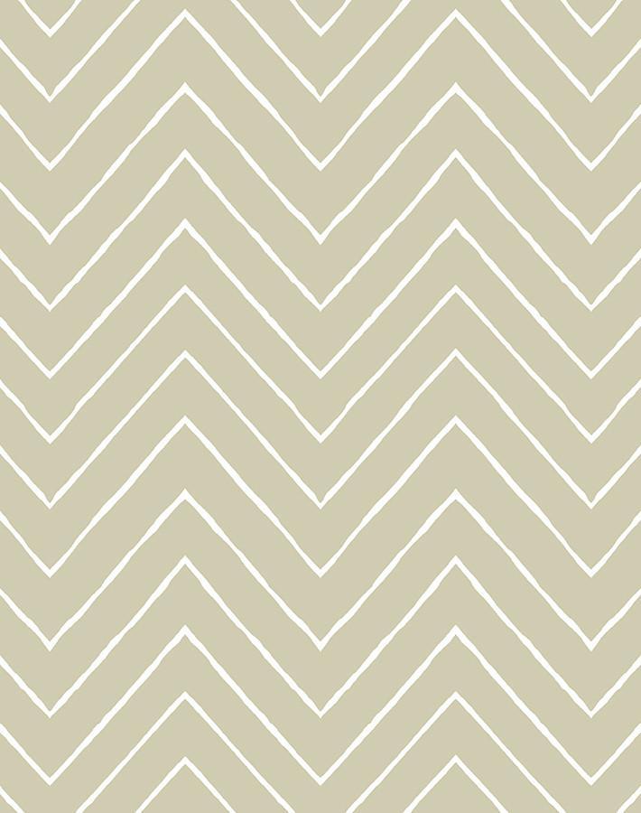 frances chevron safari