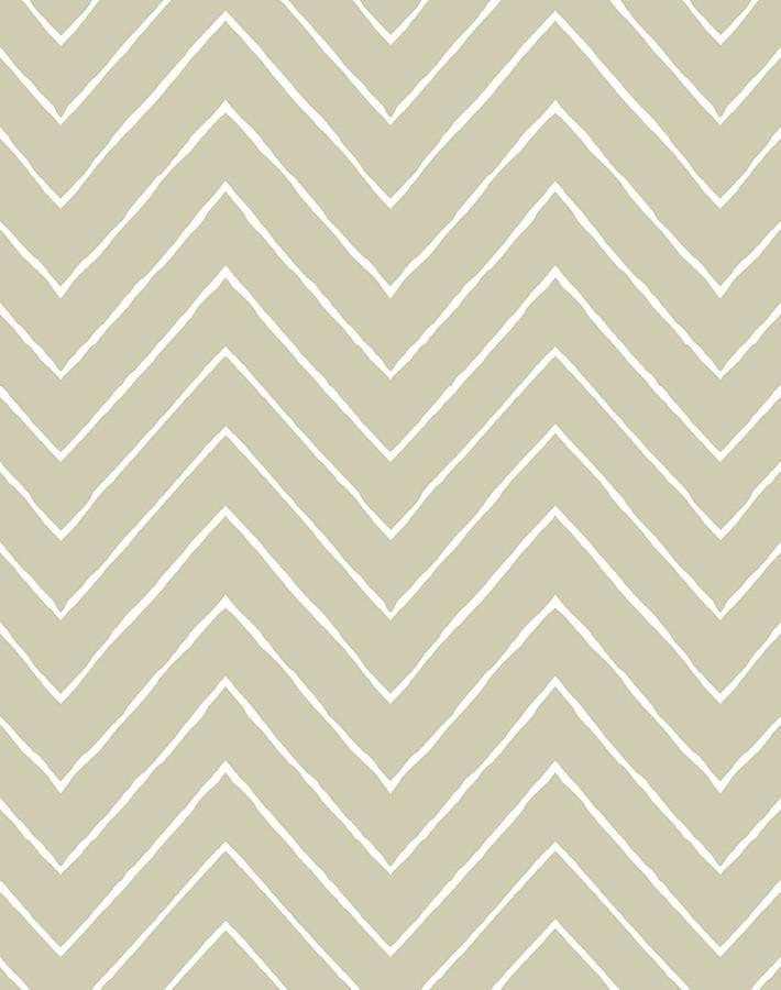 'Frances Chevron' Wallpaper by Wallshoppe - Safari