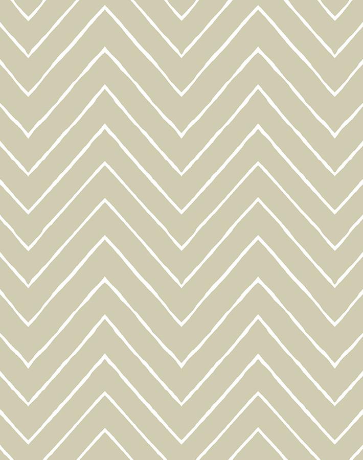 frances chevron safari