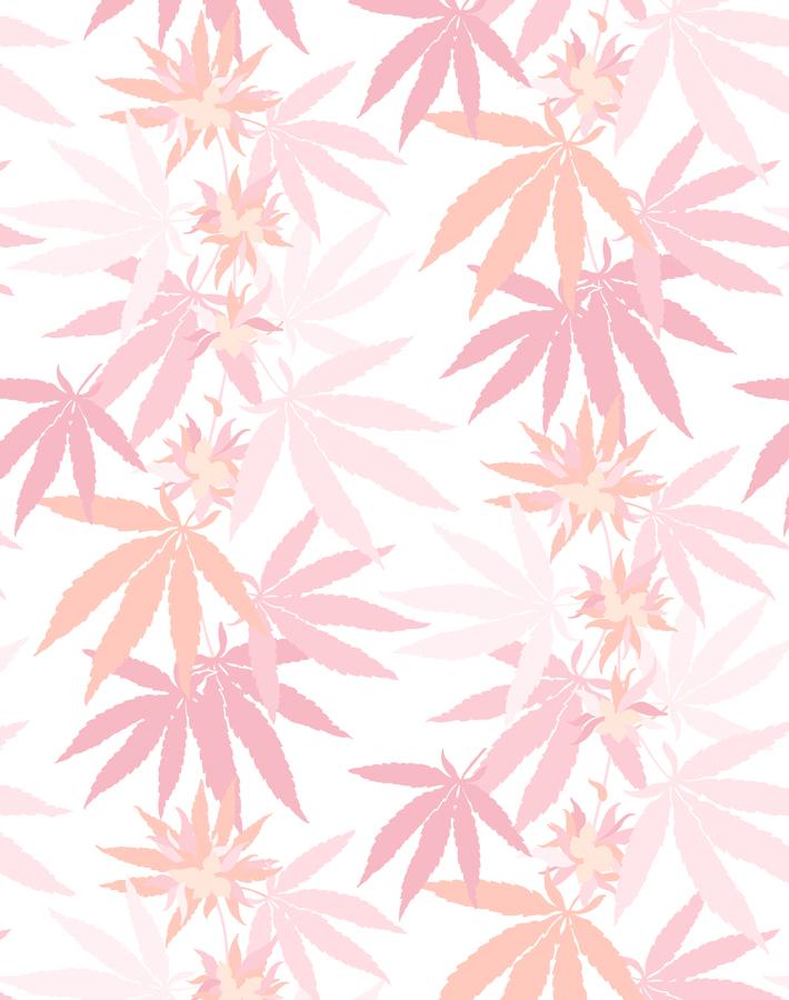 girls-best-friend-blush