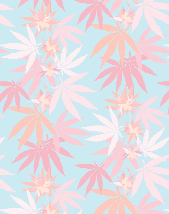 girls-best-friend-sky