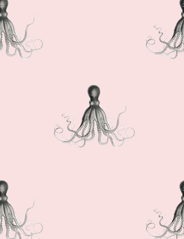george-the-octopus-shell