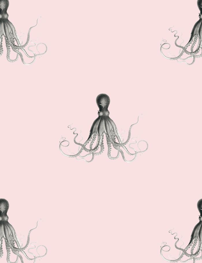 'George The Octopus' Wallpaper by Wallshoppe - Shell
