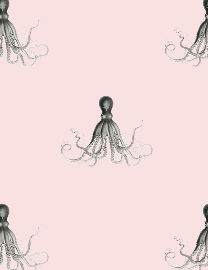 george-the-octopus-shell