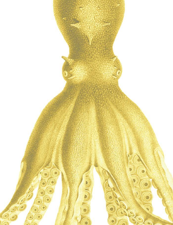 george-the-octopus-yellow
