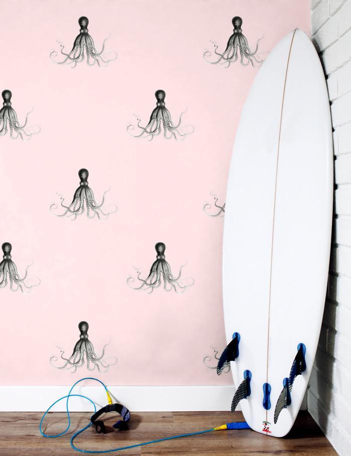 george-the-octopus-shell