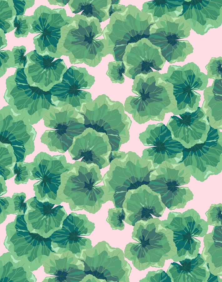 geranium leaves ballet slipper