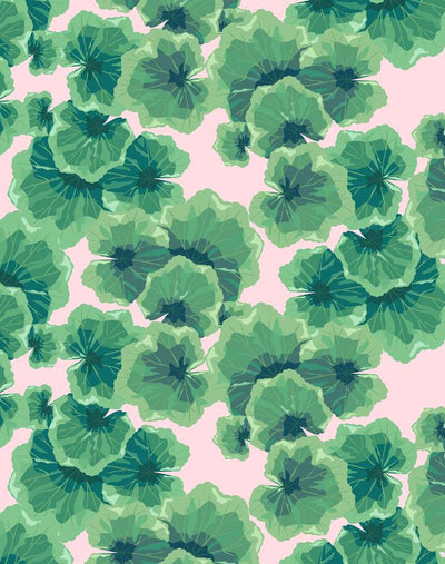 geranium leaves ballet slipper