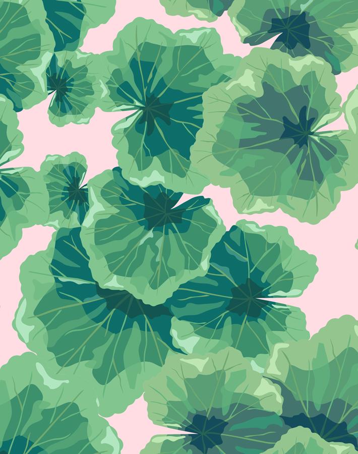 'Geranium Leaves' Wallpaper by Nathan Turner - Ballet Slipper