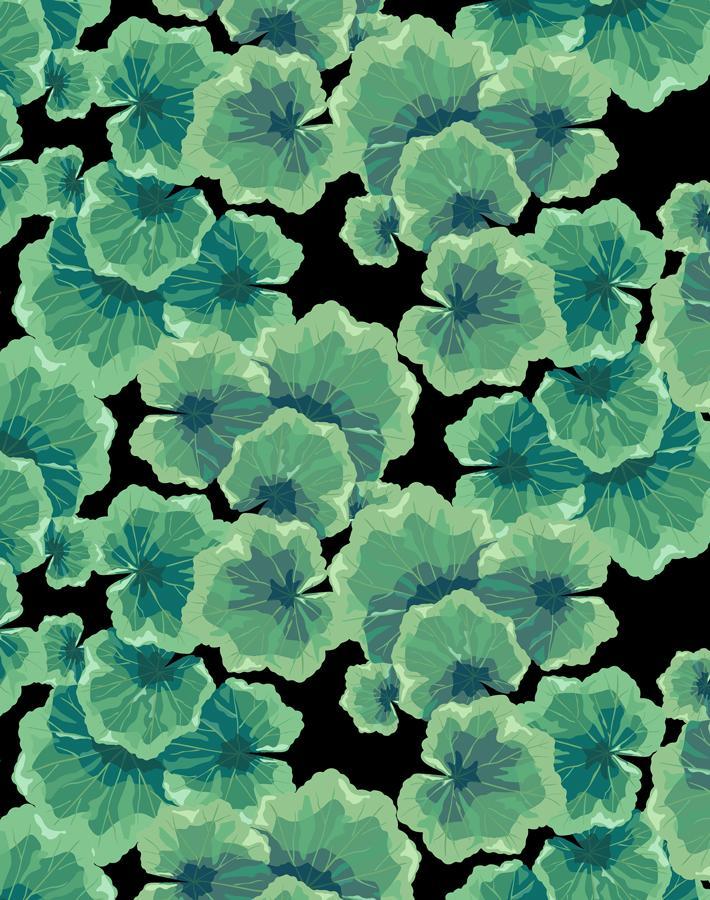 geranium leaves onyx