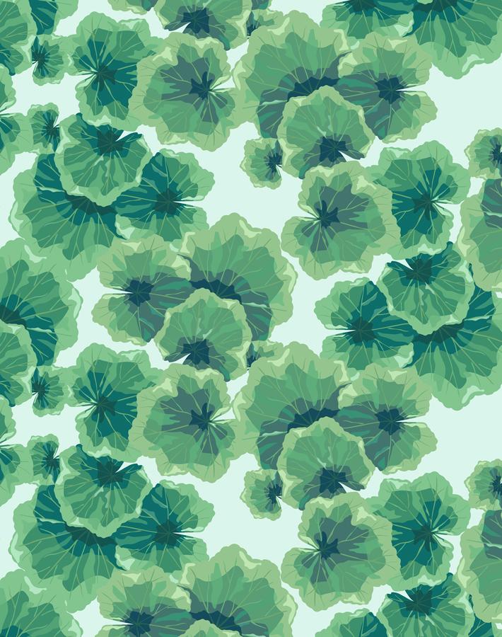 geranium leaves robins egg