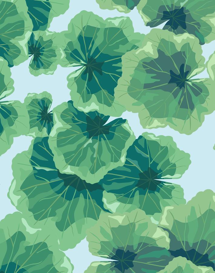 geranium-leaves-sky