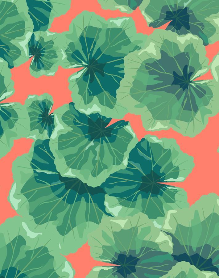 'Geranium Leaves' Wallpaper by Nathan Turner - Watermelon