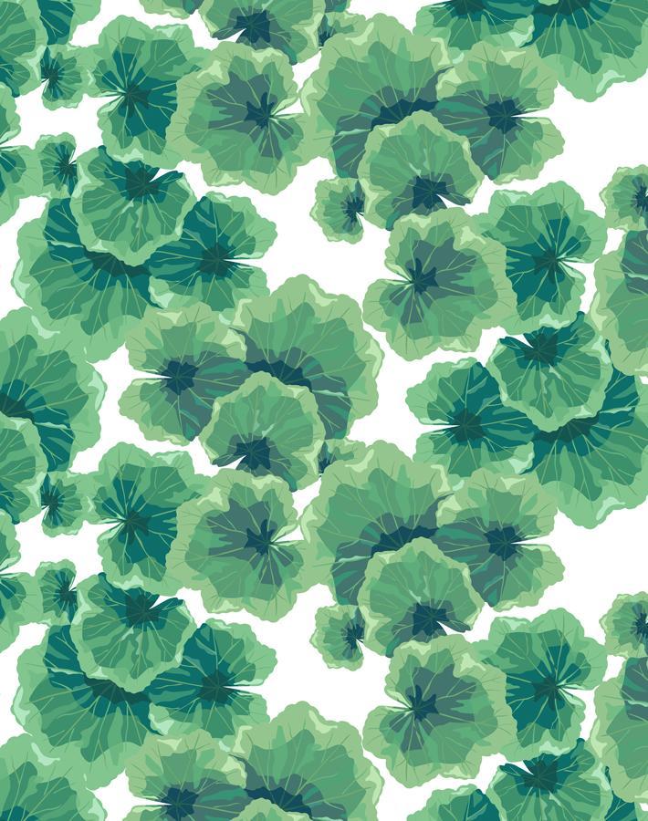 geranium-leaves-white