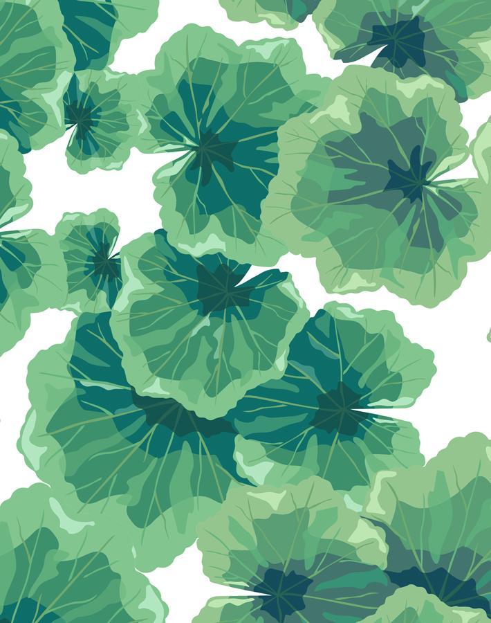 geranium-leaves-white