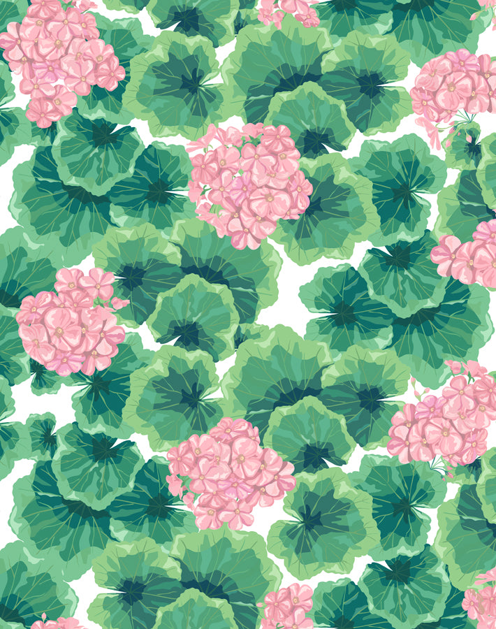 geranium-pink