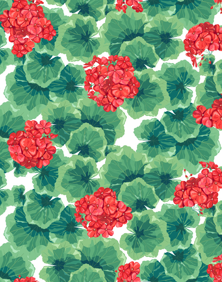 geranium-red