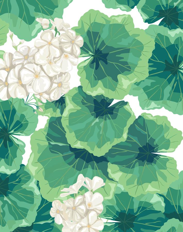 'Geranium' Wallpaper by Nathan Turner - White