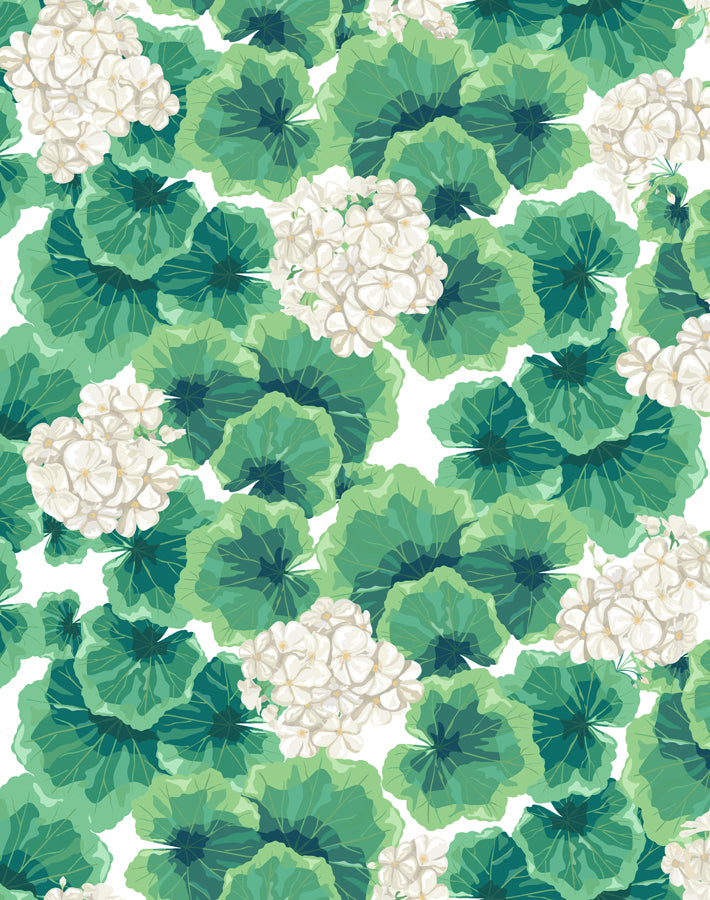 geranium white