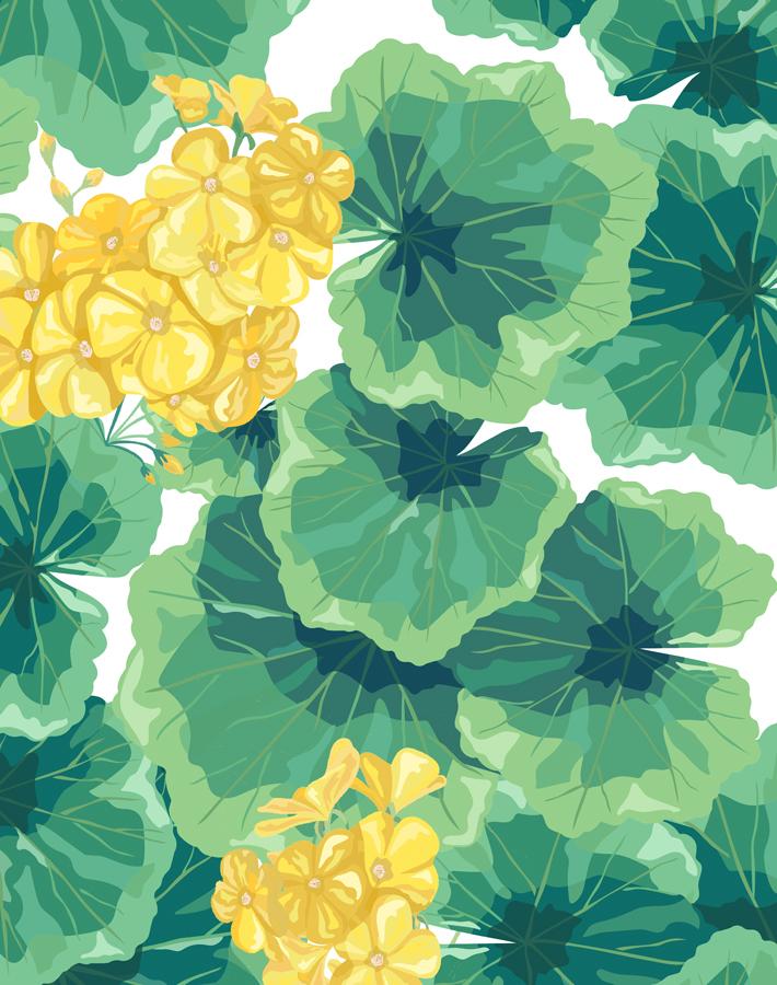 'Geranium' Wallpaper by Nathan Turner - Yellow